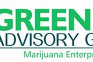 Navigating the Eugene, Oregon Green Rush: A Guide | Living in Oregon: Moving Tips, Cost of Living & Best Cities