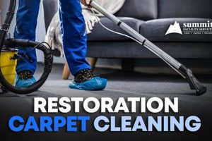 Carpet Cleaning Services Salem Oregon | Living in Oregon: Moving Tips, Cost of Living & Best Cities