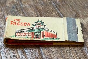 Affordable Lipo in Portland, OR: Costs & Options | Living in Oregon: Moving Tips, Cost of Living & Best Cities