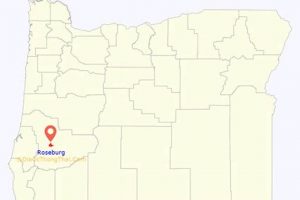 Driving Roseburg Oregon to Eugene Oregon Guide | Living in Oregon: Moving Tips, Cost of Living & Best Cities