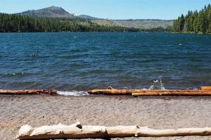 Your Suttle Lake Oregon Weather Guide & Tips! | Living in Oregon: Moving Tips, Cost of Living & Best Cities