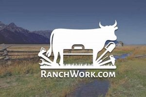 Oregon Ranch Jobs: Your Guide to Ranching Careers | Living in Oregon: Moving Tips, Cost of Living & Best Cities