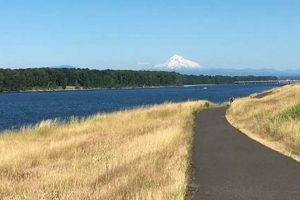 Explore Marine Drive Portland Oregon: A Scenic Guide | Living in Oregon: Moving Tips, Cost of Living & Best Cities