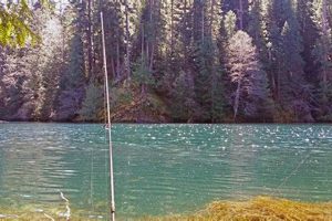 Discover Harriet Lake Oregon: A Cascade Gem | Living in Oregon: Moving Tips, Cost of Living & Best Cities