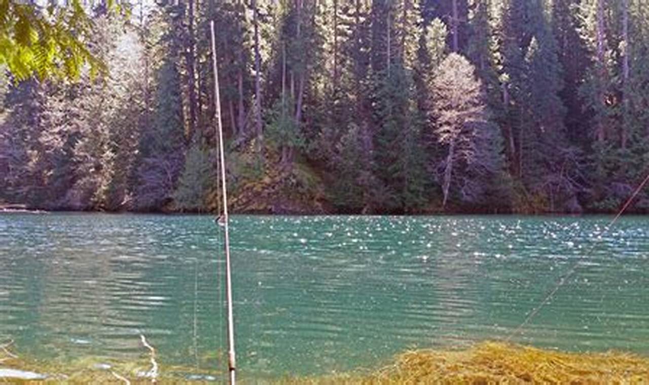 Discover Harriet Lake Oregon: A Cascade Gem | Living in Oregon: Moving Tips, Cost of Living & Best Cities