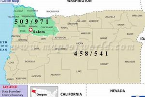Portland Area Code: Your Guide to Local Oregon Numbers | Living in Oregon: Moving Tips, Cost of Living & Best Cities