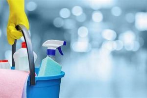 Janitorial Services Portland Oregon | Living in Oregon: Moving Tips, Cost of Living & Best Cities