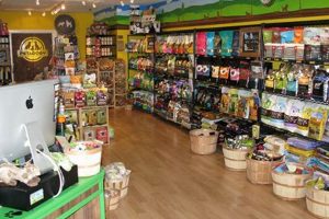 Your Guide to Oregon City Pet Shops: Find the Best Store! | Living in Oregon: Moving Tips, Cost of Living & Best Cities