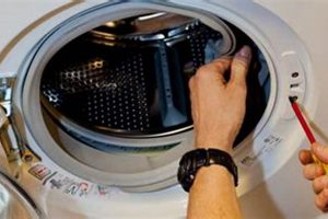 Bend, Oregon Dryer Repair: Fast & Reliable Fixes | Living in Oregon: Moving Tips, Cost of Living & Best Cities