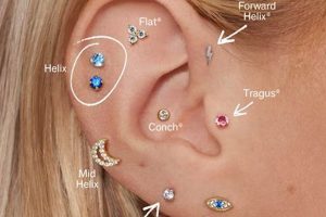 Piercing Shops Salem Oregon | Living in Oregon: Moving Tips, Cost of Living & Best Cities