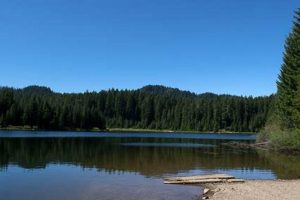 Exploring Hemlock Lake, Oregon: A Hidden Gem | Living in Oregon: Moving Tips, Cost of Living & Best Cities