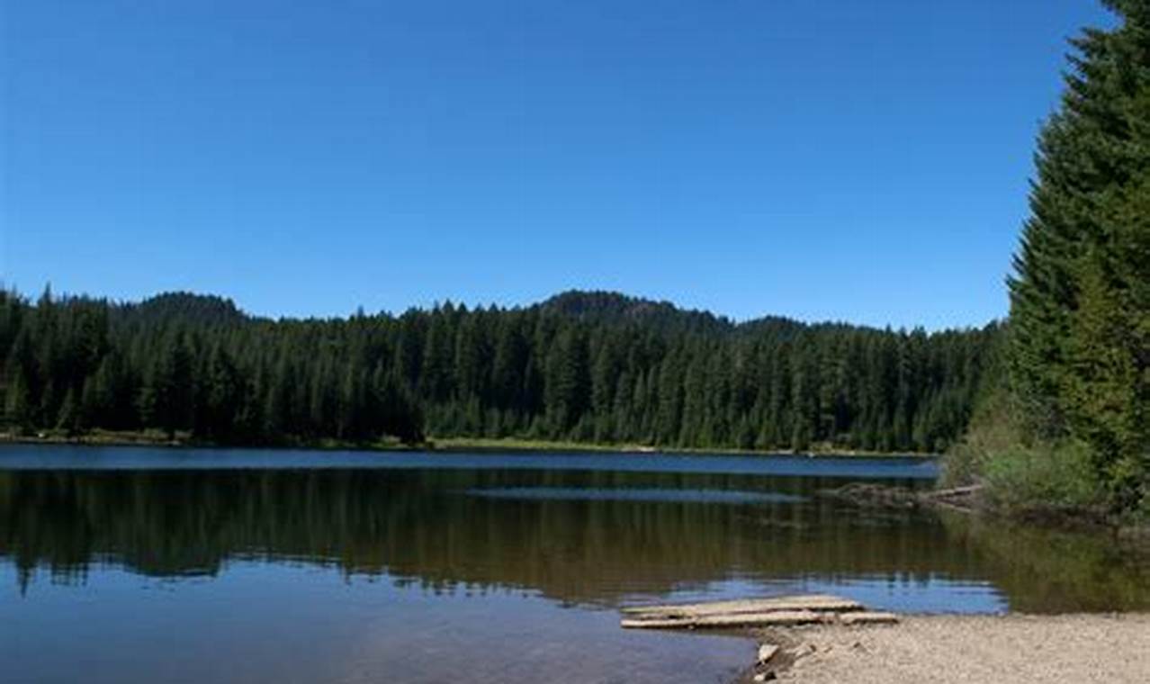 Exploring Hemlock Lake, Oregon: A Hidden Gem | Living in Oregon: Moving Tips, Cost of Living & Best Cities