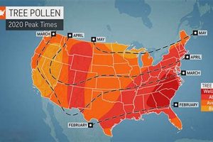 Pollen In Portland Oregon | Living in Oregon: Moving Tips, Cost of Living & Best Cities