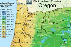 Portland Oregon Planting Zone Guide: Grow Like a Pro! | Living in Oregon: Moving Tips, Cost of Living & Best Cities