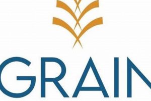 Holistic Grain Integrative Health in Portland, OR Guide | Living in Oregon: Moving Tips, Cost of Living & Best Cities