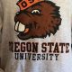 Shop Oregon State Sweatshirt Now: Styles & Deals! | Living in Oregon: Moving Tips, Cost of Living & Best Cities