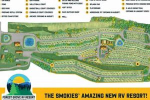 Forest Grove RV Park: Oregon's Best Camping Spots | Living in Oregon: Moving Tips, Cost of Living & Best Cities