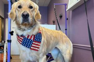 Top-Rated Dog Boarding Oregon City: Safe & Fun Care | Living in Oregon: Moving Tips, Cost of Living & Best Cities