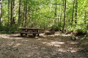 Oregon's Horseshoe Bend Campground: Your Bend Adventure! | Living in Oregon: Moving Tips, Cost of Living & Best Cities