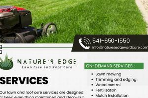 Top Yard Care in Eugene, Oregon: Local Experts | Living in Oregon: Moving Tips, Cost of Living & Best Cities
