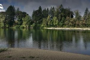 Keizer Rapids Park, OR: Your Oregon River Adventure | Living in Oregon: Moving Tips, Cost of Living & Best Cities