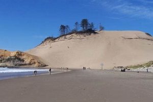 Explore the Majestic Pacific City Oregon Sand Dune Coast! | Living in Oregon: Moving Tips, Cost of Living & Best Cities