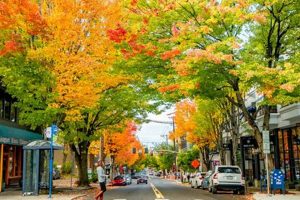 Visit Portland, Oregon in October: Events &amp; Weather | Living in Oregon: Moving Tips, Cost of Living & Best Cities