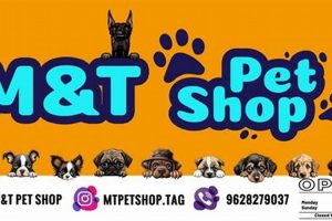 Find Your Perfect Pet: Pet Shop Oregon City Guide | Living in Oregon: Moving Tips, Cost of Living & Best Cities