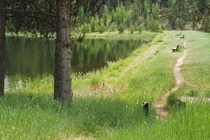Explore Penland Lake Oregon: A Gem + Guide Living in Oregon: Moving Tips, Cost of Living & Best Cities Explore Penland Lake Oregon: A Gem + Guide | Living in Oregon: Moving Tips, Cost of Living & Best Cities
