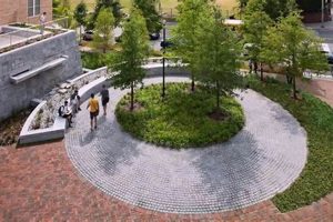 Top Design Jobs Portland, Oregon: Your Dream Awaits! Living in Oregon: Moving Tips, Cost of Living & Best Cities Top Design Jobs Portland, Oregon: Your Dream Awaits! | Living in Oregon: Moving Tips, Cost of Living & Best Cities