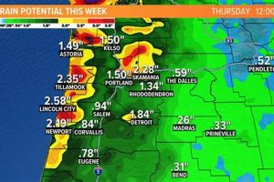 Monthly Guide: Willamette City, Oregon Weather + Tips | Living in Oregon: Moving Tips, Cost of Living & Best Cities