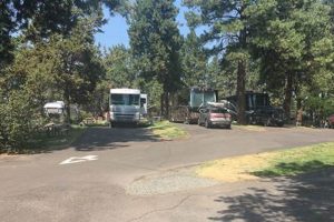 Scandia RV Park Oregon: Your Perfect Oregon Getaway | Living in Oregon: Moving Tips, Cost of Living & Best Cities