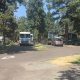 Scandia RV Park Oregon: Your Perfect Oregon Getaway | Living in Oregon: Moving Tips, Cost of Living & Best Cities