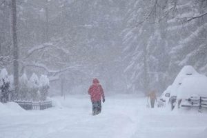 Eugene Oregon Snowfall: Is It Coming? Tips &amp; Safety | Living in Oregon: Moving Tips, Cost of Living & Best Cities