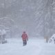 Eugene Oregon Snowfall: Is It Coming? Tips &amp; Safety | Living in Oregon: Moving Tips, Cost of Living & Best Cities