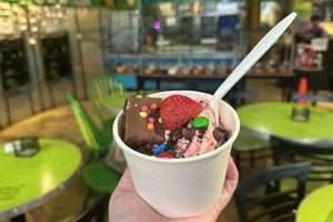 Best Frozen Yogurt in Eugene, Oregon: Your Guide! | Living in Oregon: Moving Tips, Cost of Living & Best Cities