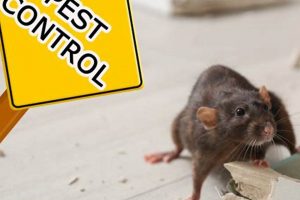 Rodent Control Salem Oregon | Living in Oregon: Moving Tips, Cost of Living & Best Cities