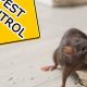 Rodent Control Salem Oregon | Living in Oregon: Moving Tips, Cost of Living & Best Cities