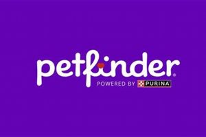 Petfinder Bend Oregon | Living in Oregon: Moving Tips, Cost of Living & Best Cities