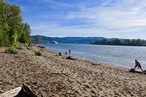 Visit Kelley Point Park Oregon: A Riverfront Oasis! | Living in Oregon: Moving Tips, Cost of Living & Best Cities