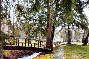 Explore Dallas Oregon City Park: Your Local Oasis | Living in Oregon: Moving Tips, Cost of Living & Best Cities