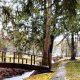 Explore Dallas Oregon City Park: Your Local Oasis | Living in Oregon: Moving Tips, Cost of Living & Best Cities