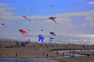 Find Houses in Lincoln City Oregon for Rent: Your Guide | Living in Oregon: Moving Tips, Cost of Living & Best Cities