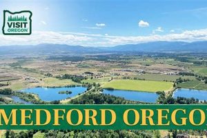 24/7 Medford Oregon Emergency Vet: [Fast Care] | Living in Oregon: Moving Tips, Cost of Living & Best Cities