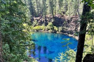 Bend Oregon Escort: Laws & Risks Explored | Living in Oregon: Moving Tips, Cost of Living & Best Cities