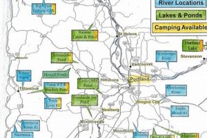 Best Eugene Oregon Fishing Spots: Local's Guide | Living in Oregon: Moving Tips, Cost of Living & Best Cities