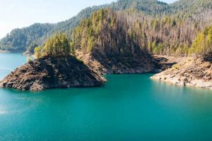 CarGurus Eugene Oregon: Find Local Car Deals + Tips | Living in Oregon: Moving Tips, Cost of Living & Best Cities