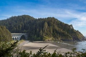 Drive from Eugene, OR to Coos Bay: A Coastal Road Trip | Living in Oregon: Moving Tips, Cost of Living & Best Cities