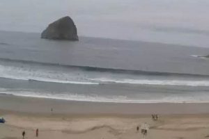 Watch Pacific City, Oregon Live Cam: Beach Views & More | Living in Oregon: Moving Tips, Cost of Living & Best Cities