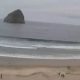 Watch Pacific City, Oregon Live Cam: Beach Views & More | Living in Oregon: Moving Tips, Cost of Living & Best Cities